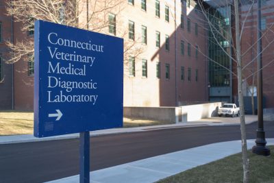 CVMDL sign pointing to Atwater Pathobiology building on UConn Storrs campus
